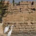 temple_karnak_lux_v_0296_egy3218.jpg